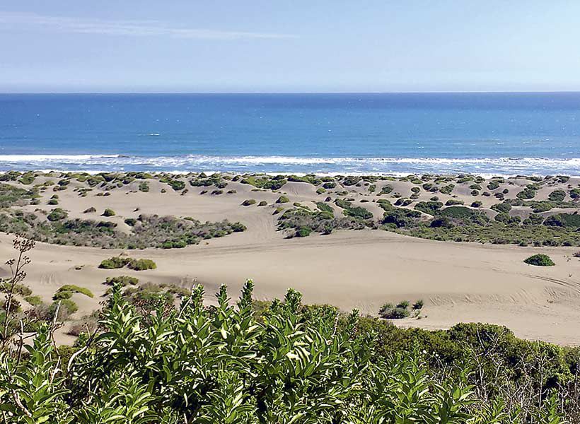 Vista de las dunas de Santo Domingo. Foto: Costa Central Chile