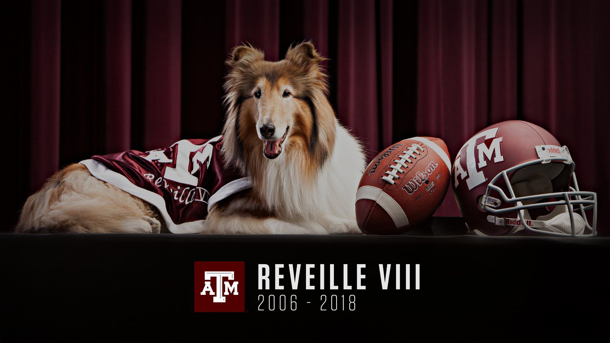 Reveille IX officially ends her reign as First Lady of Texas A&M University