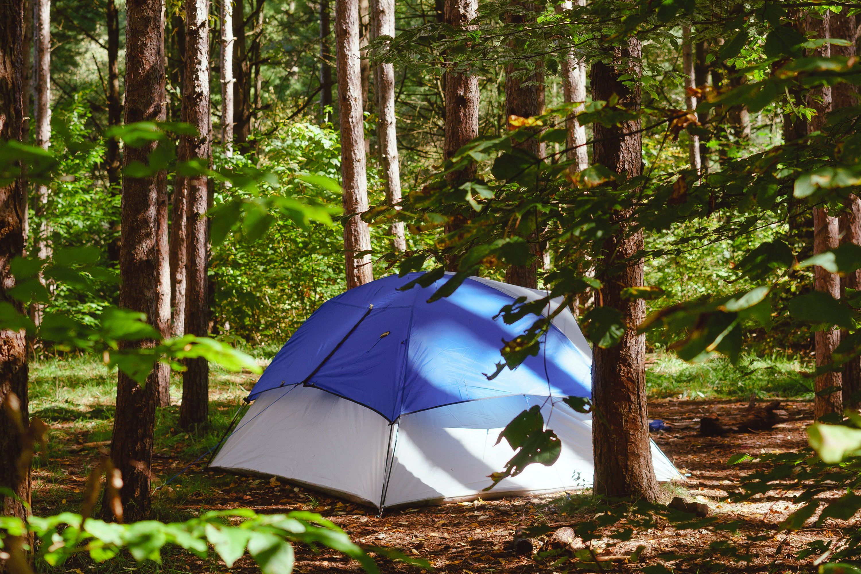 Rent outdoor gear while you're camping with Reserve America and Arrive -  Curbed