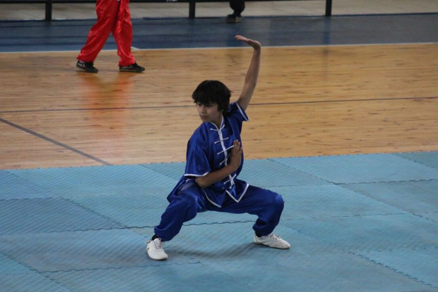 Wushu