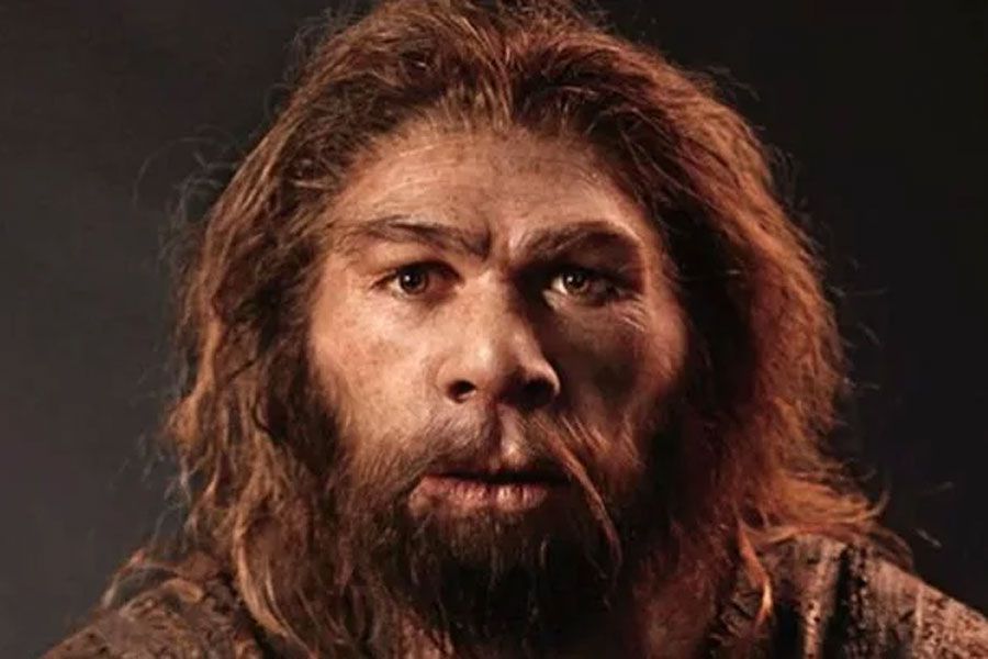 neandertal