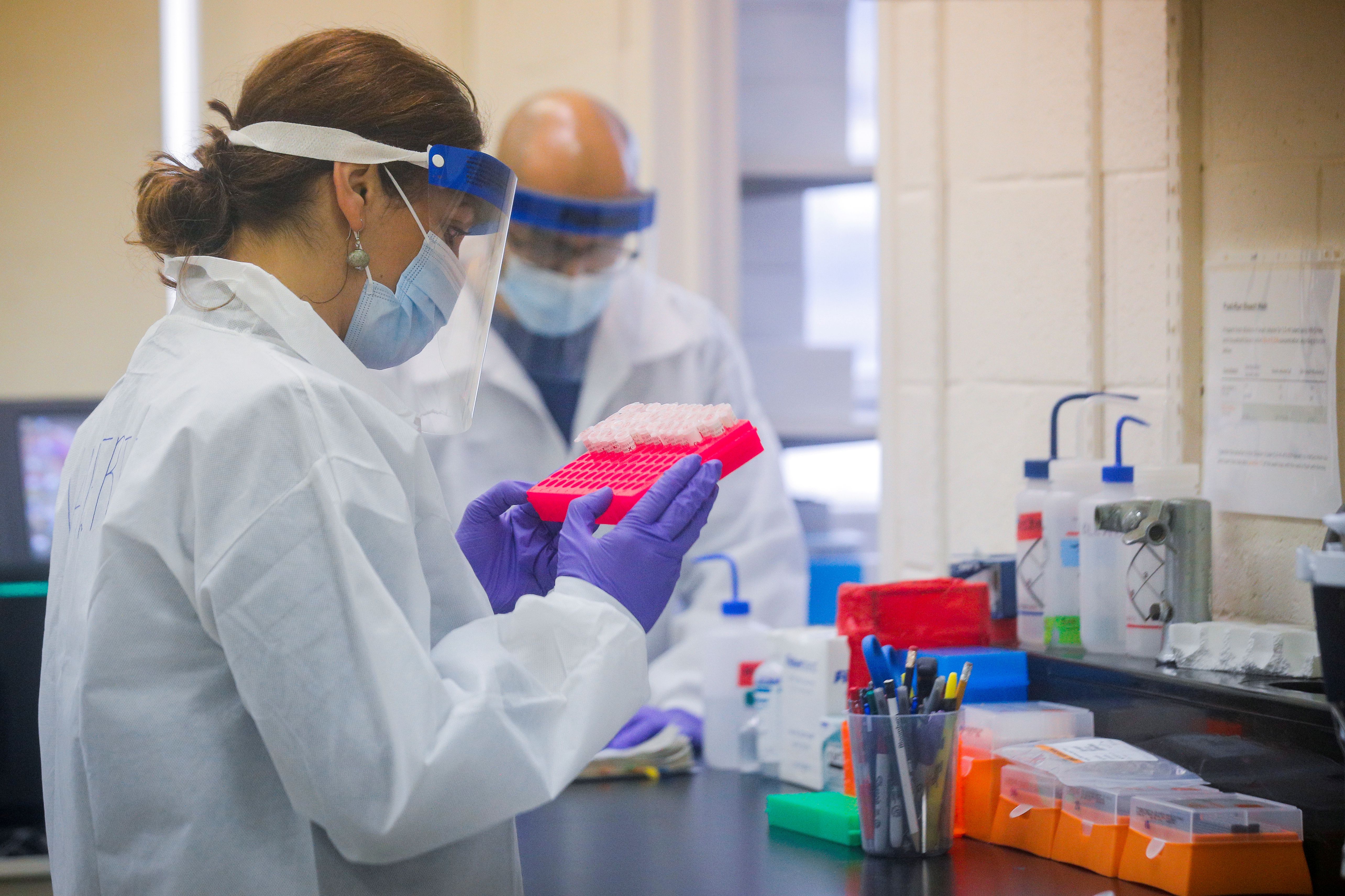 FILE PHOTO: Scientists work in a lab testing COVID-19 samples at New York City's health department, during the outbreak of the coronavirus disease (COVID-19) in New York