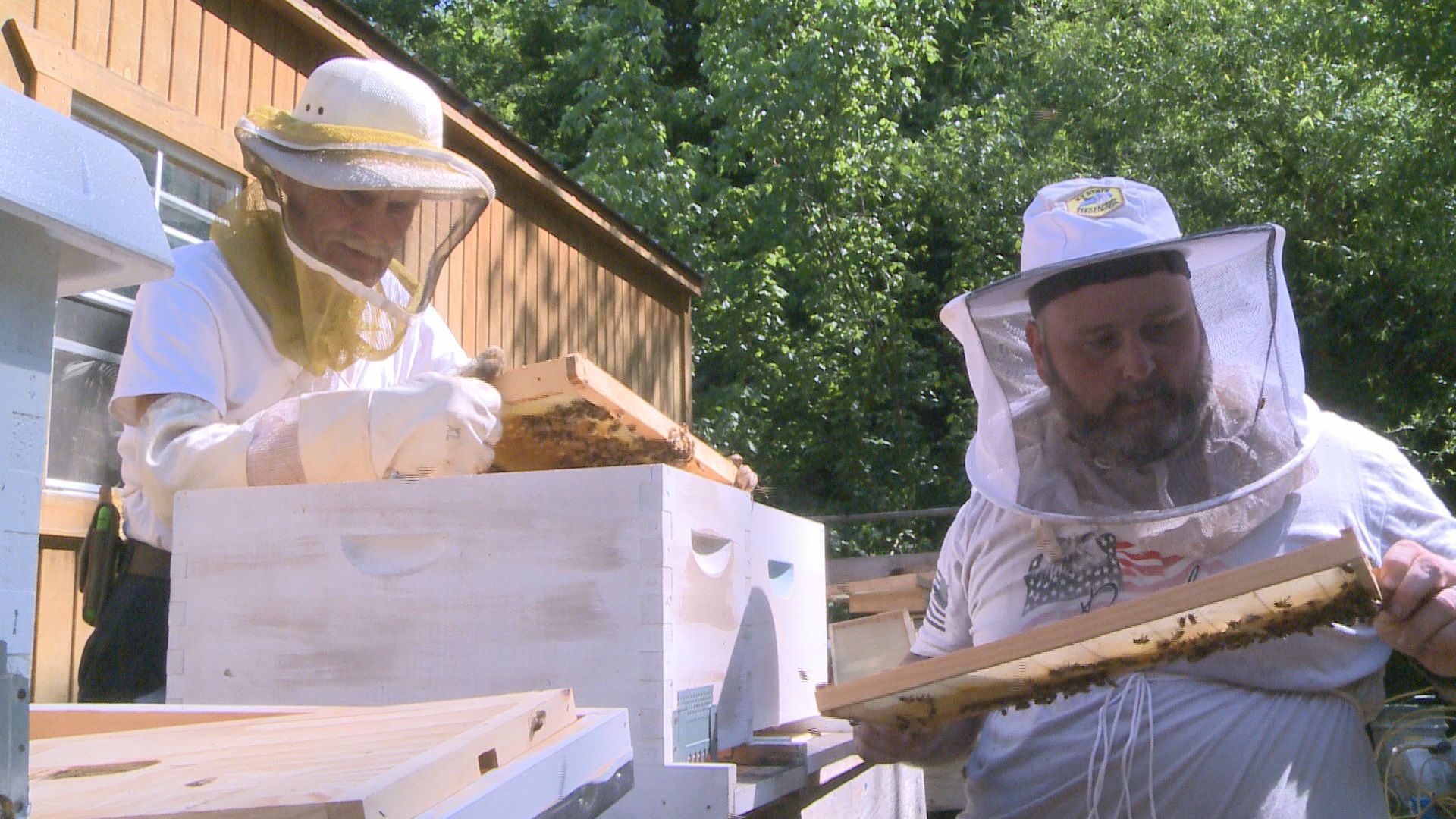 The Kentucky Bee Man