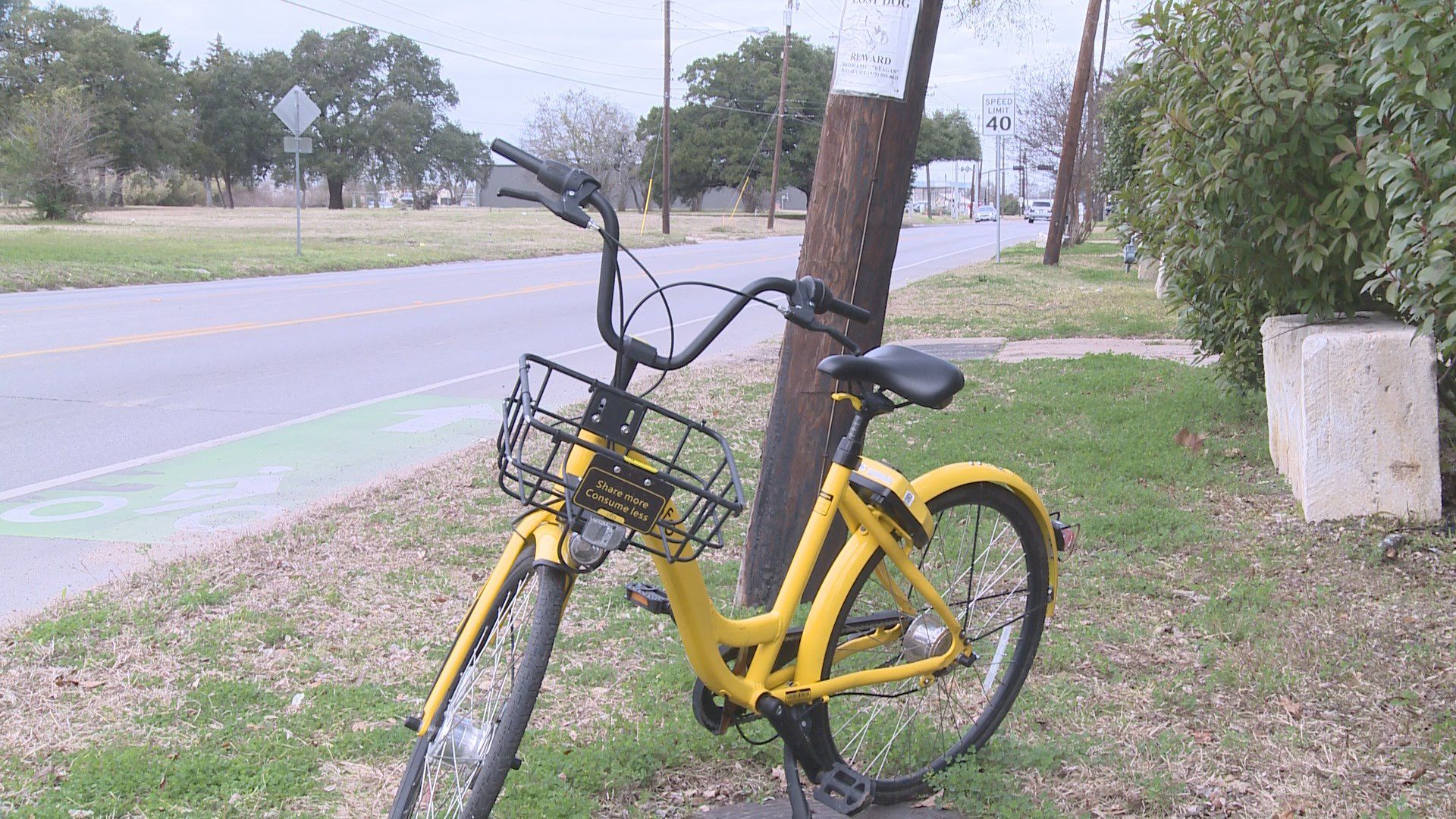 Ofo 2024 bike value