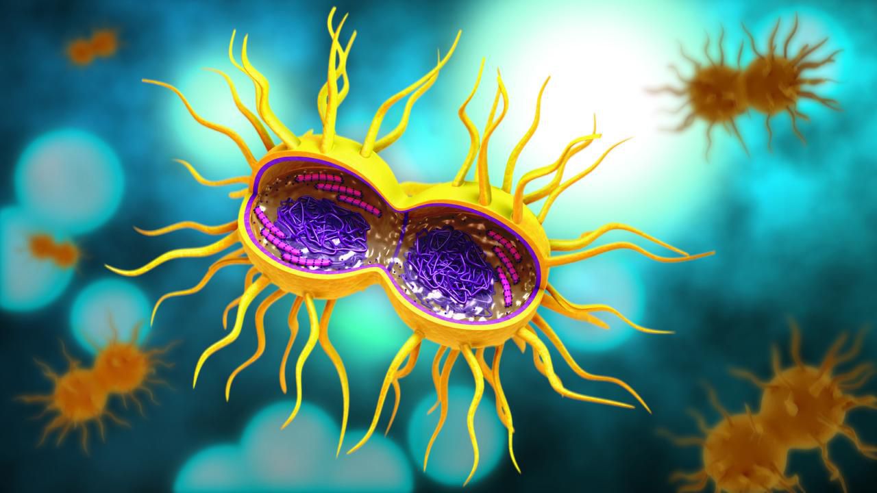 Clamidia, gonorrea y sífilis aumentan a niveles récord en Estados Unidos