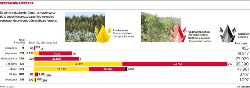 Imagen-TH-tipo-de-vegetacion-afectada.jpg