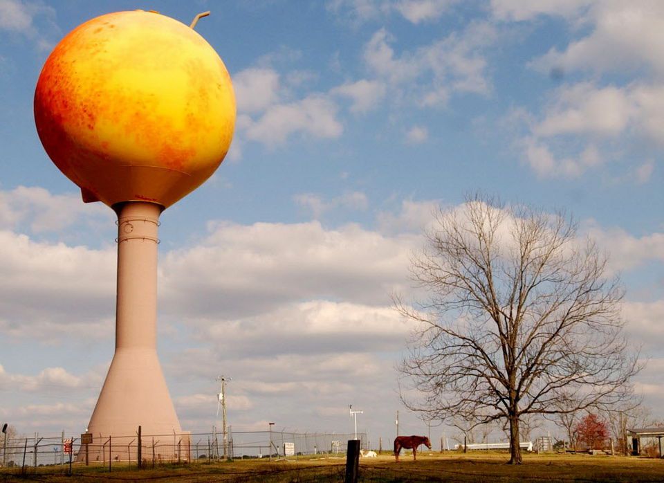 Alabama Peach Industry - Encyclopedia of Alabama