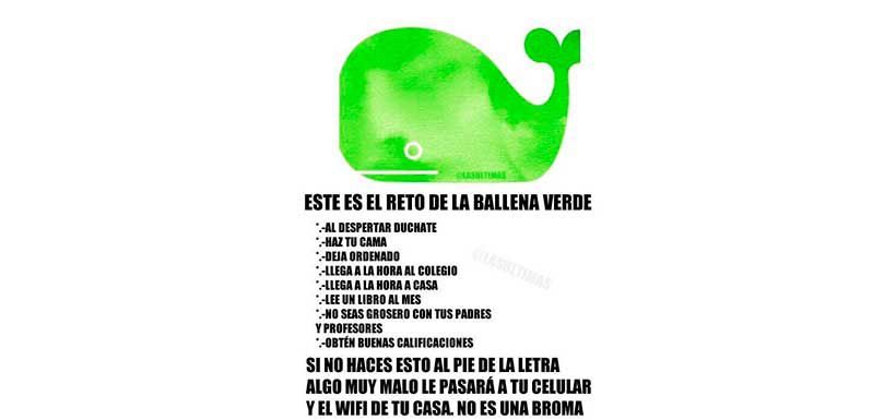 ballena-verde-desafio.jpg