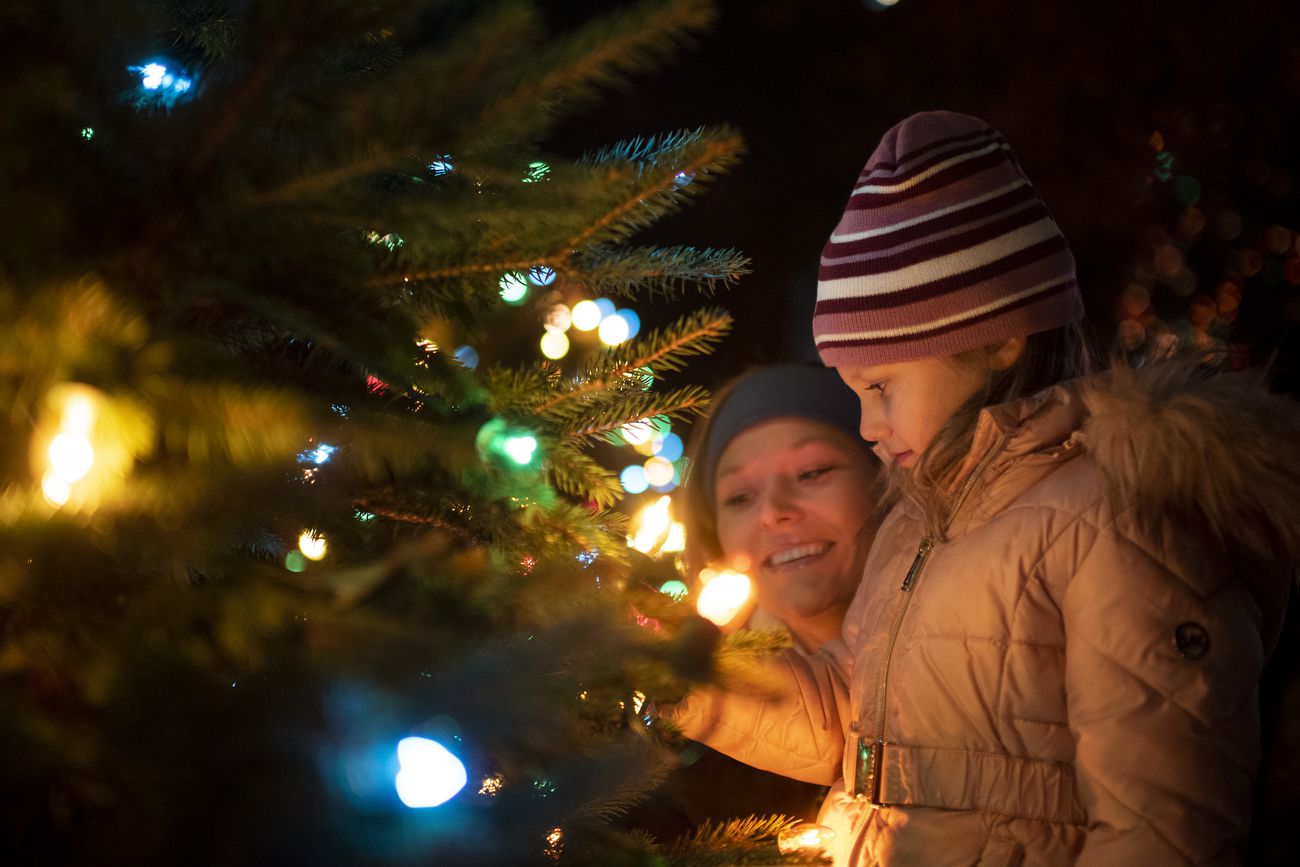 Mlive Christmas Party 2022 Christmas Tree Prices Are High, But It's Cheap To Cut Down Your Own With A  U.s. Forest Service Permit - Oregonlive.com