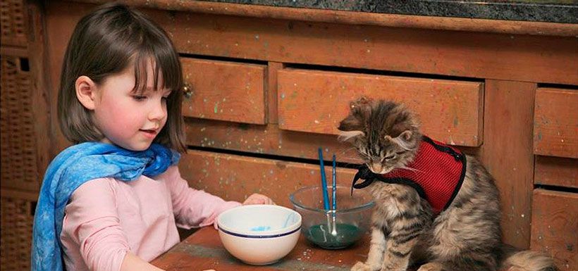 niña con autismo y gato