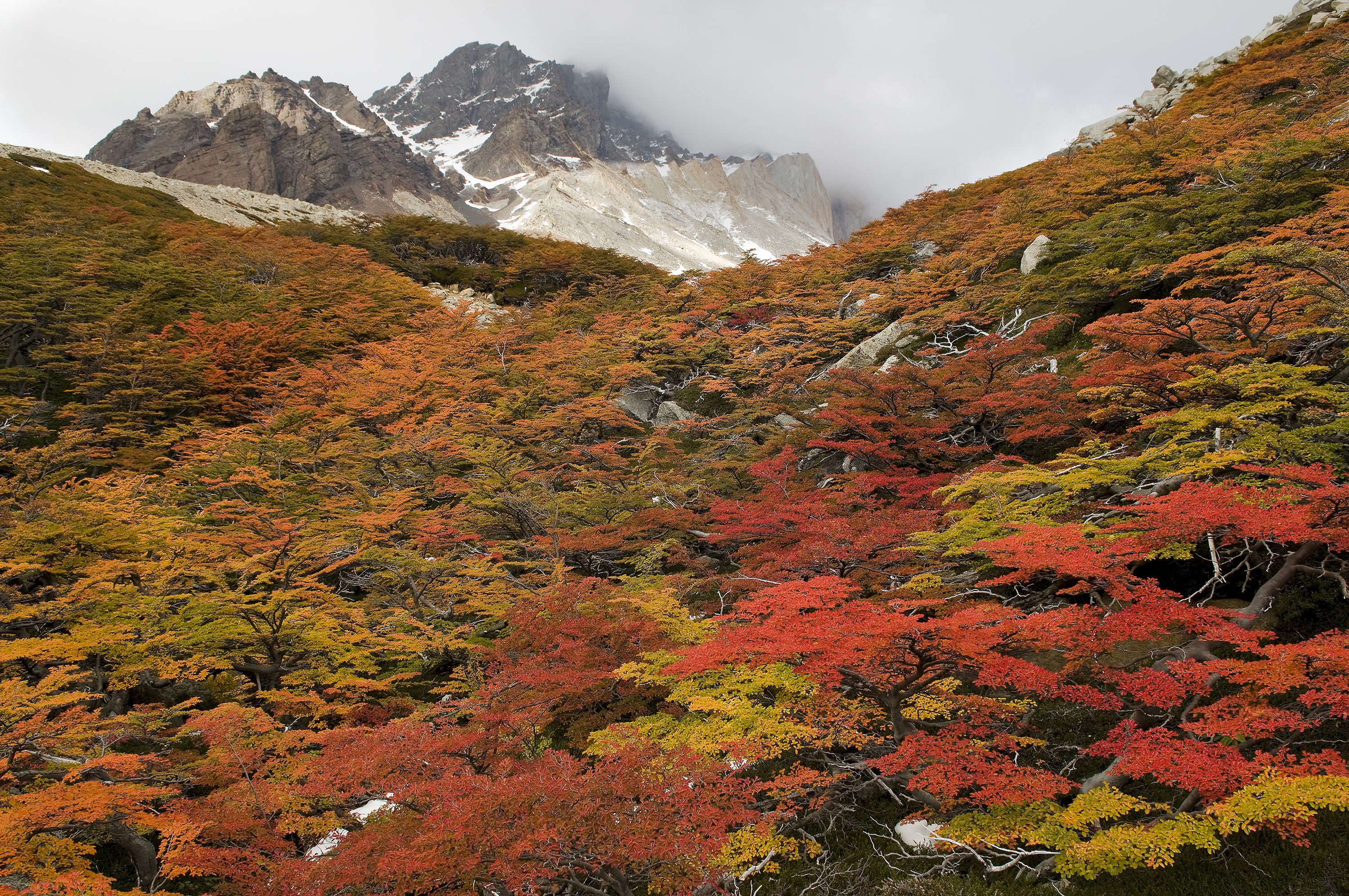 Imagen-torres-del-paine_-augusto-dominguez.jpg