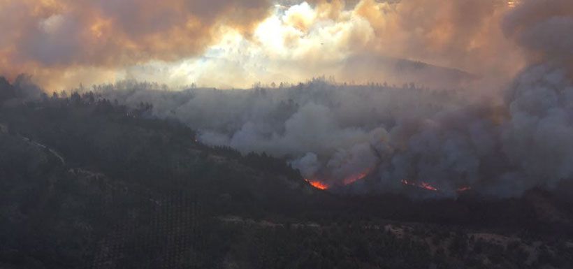 incendio forestal viña del mar y valparaíso