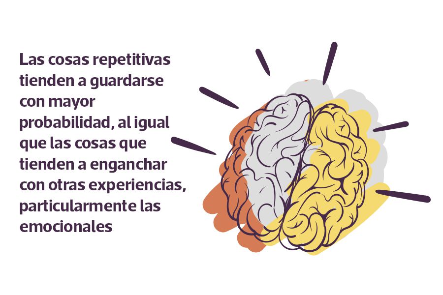 cerebro-web.jpg