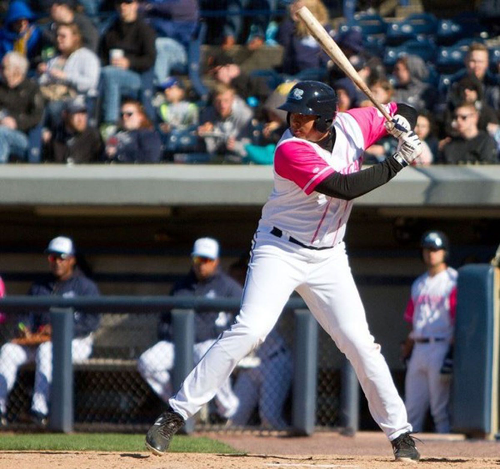 Tigers minor leaguers Reynaldo Rivera, Pavin Parks suspended for banned  substance