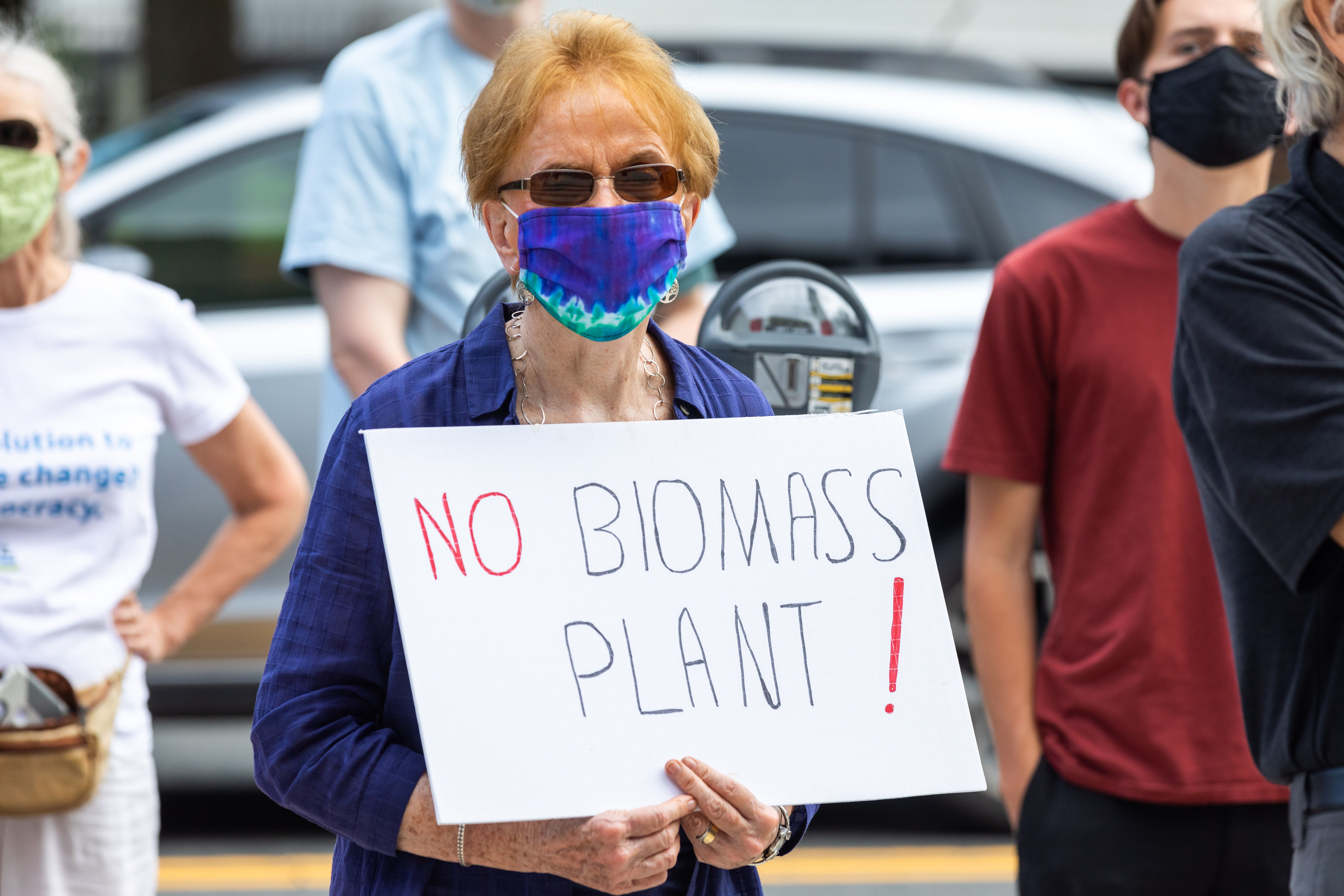 Kill the 'zombie': Springfield demonstration calls for end to biomass  proposal after decade-long battle 