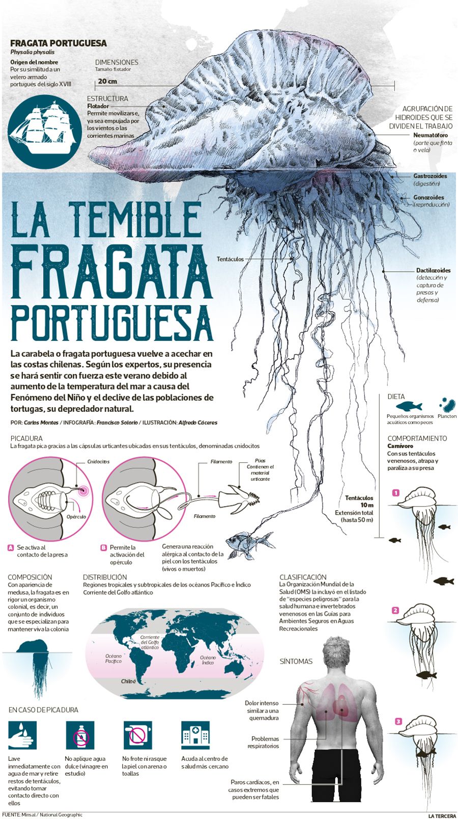 CT-fragata-portuguesa-WEB-031218.jpg