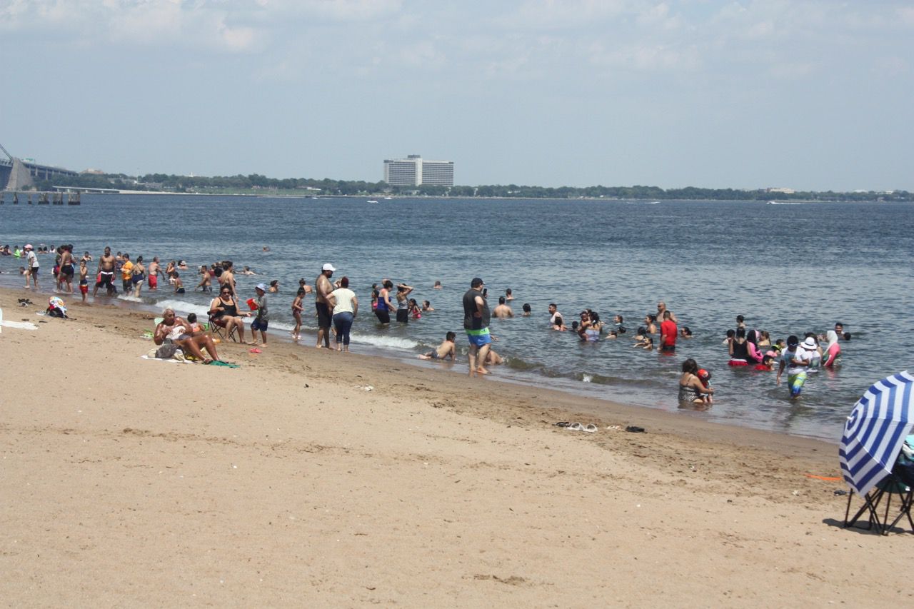 are dogs allowed in nyc beaches