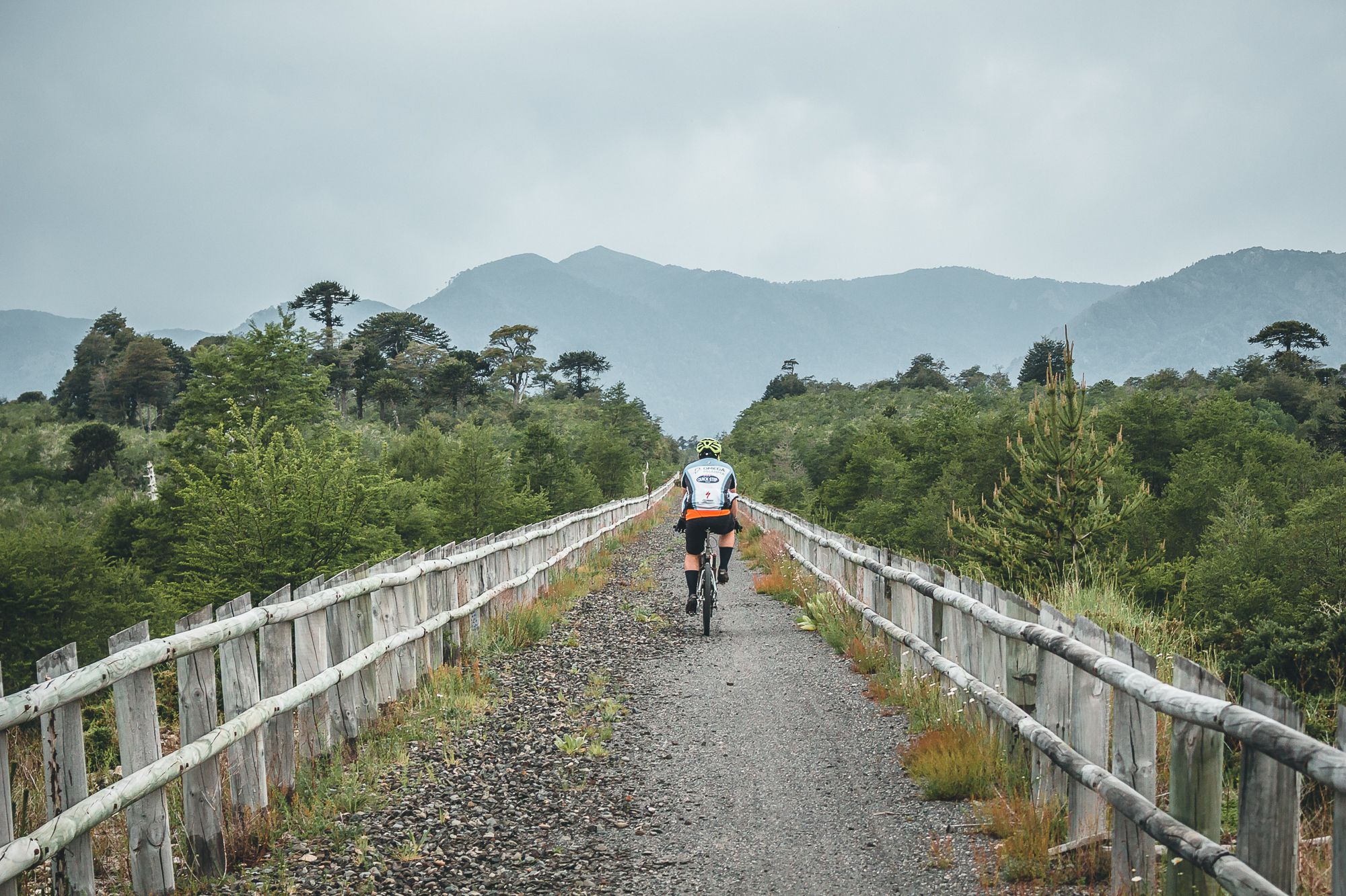 Javiera-Zerene-Ciclovía-M-M.jpg