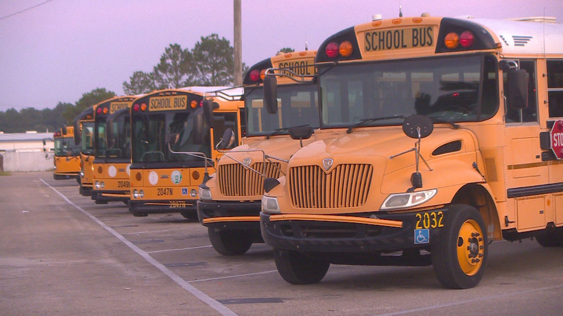 Tallahassee Bold Bus