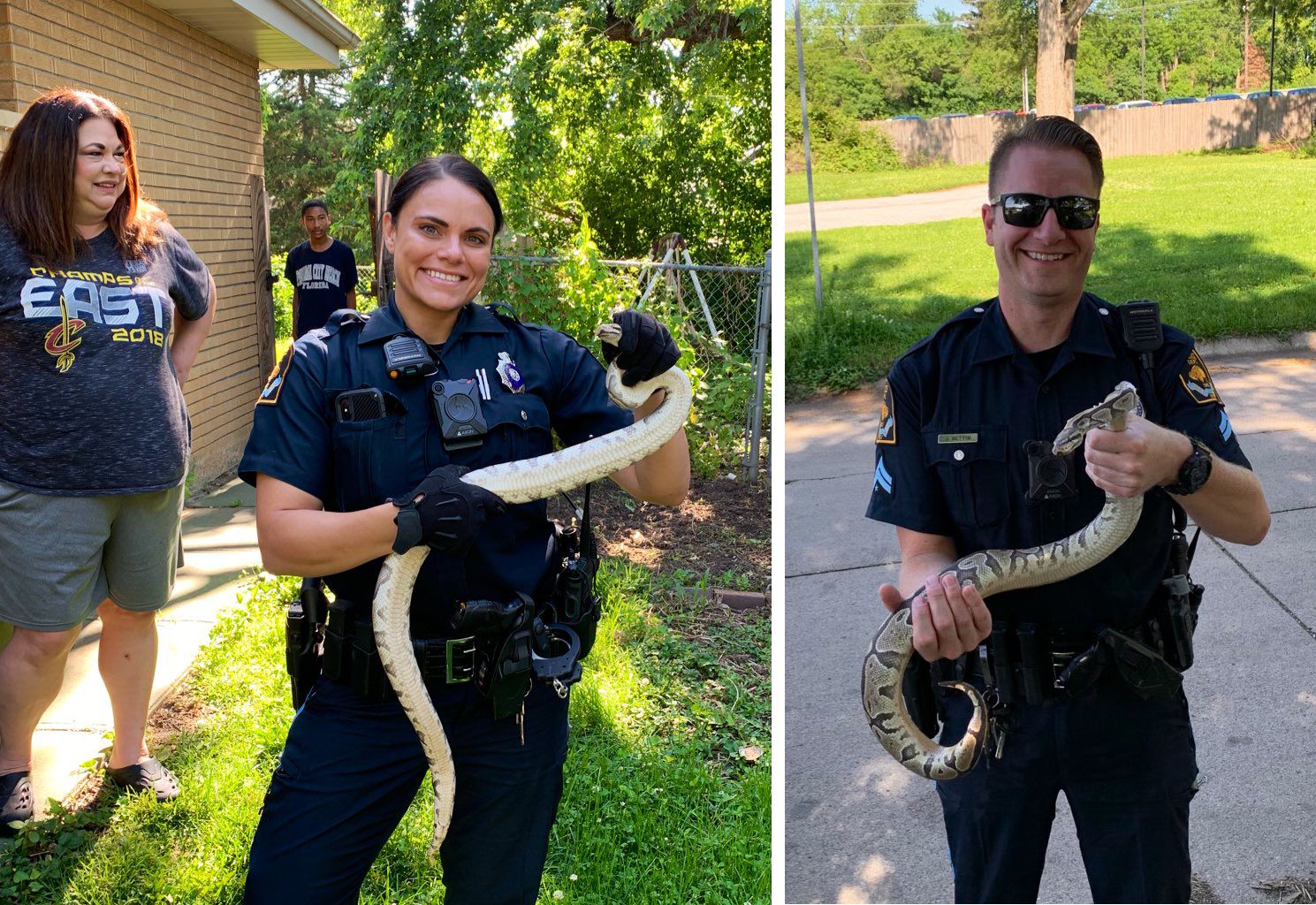 Snakes R Us: Arlington police don't play around with ball python found near  toy store