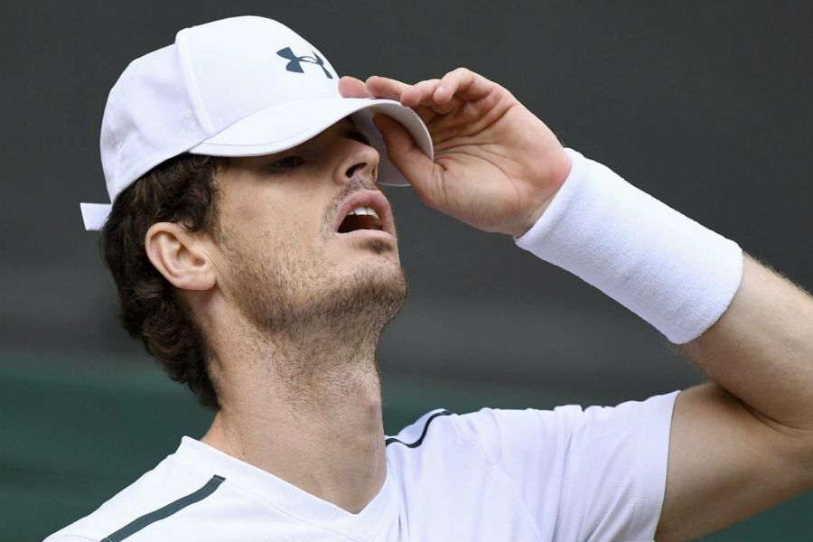 ANDY MURRAY