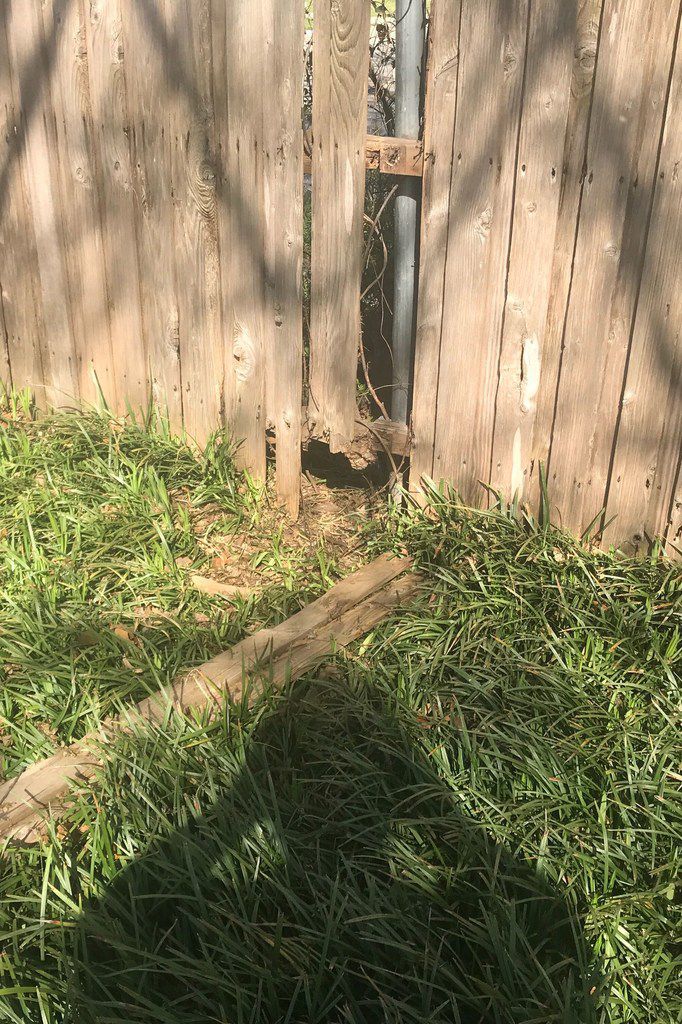 how to keep dog from breaking wood fence