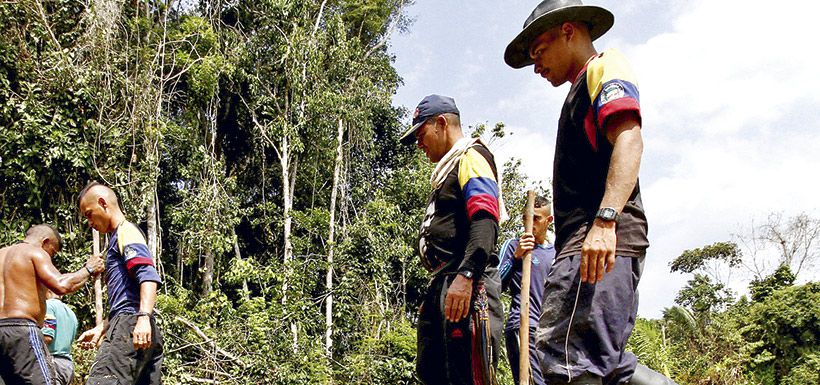 miembros de la Farc realizan trabajos en el municipio de Tibú