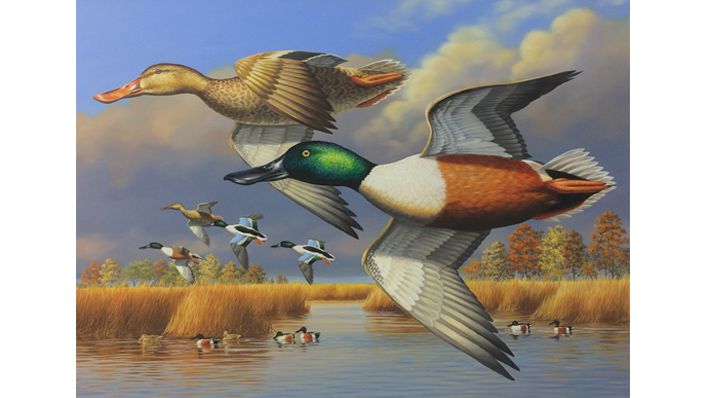 LDWF announces 2020 Louisiana Duck Stamp Competition