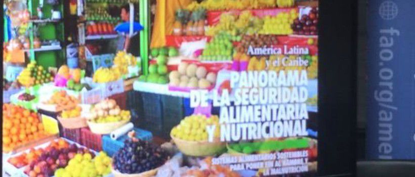 alimentos