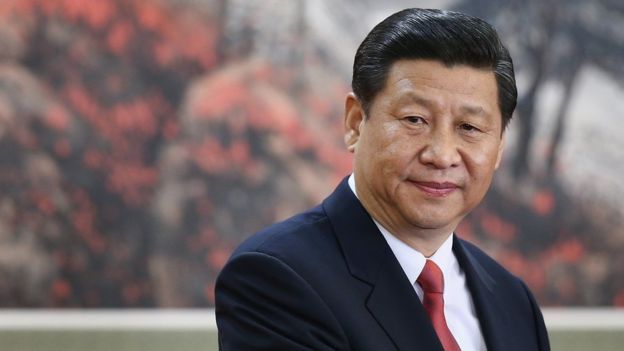 bbc-xi8.jpg