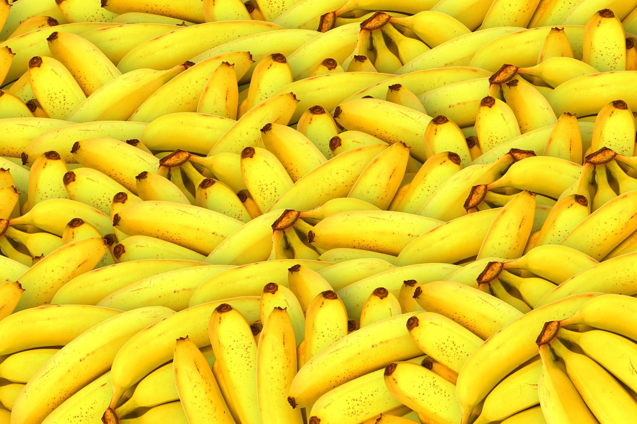 platanos pixabay