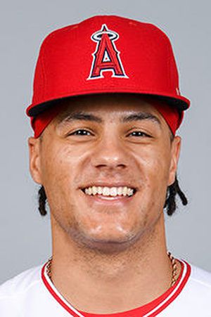 Bees outfielder and Angels prospect Michael Hermosillo hoping to pave his  way to the majors