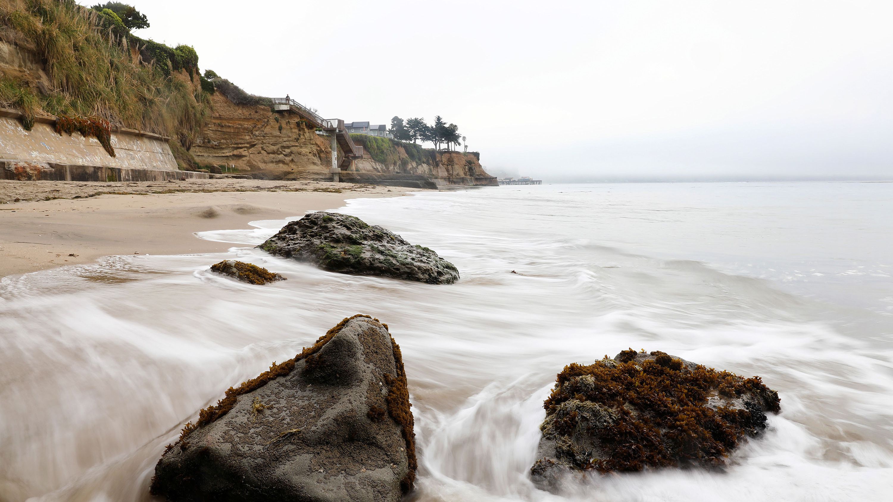 Surfer dies in shark attack off California coast