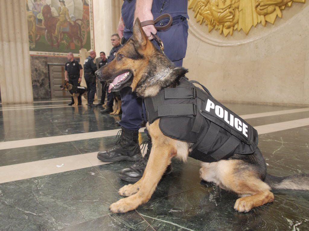 Westerville K9 Bruno receives donation of body armor