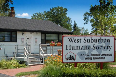 West suburban humane society adventist health mychart