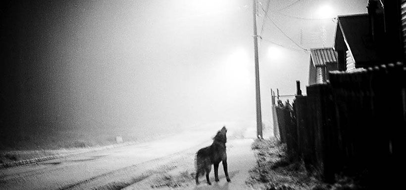 De la serie Vida cotidiana Coyhaique, Aysén (2015), parte del trabajo del fotógrafo Fabián España.