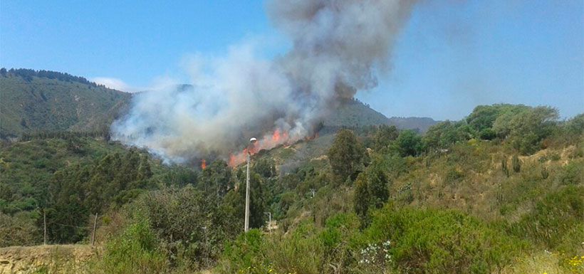 Incendio forestal Laguna Verde a principios de noviembre.