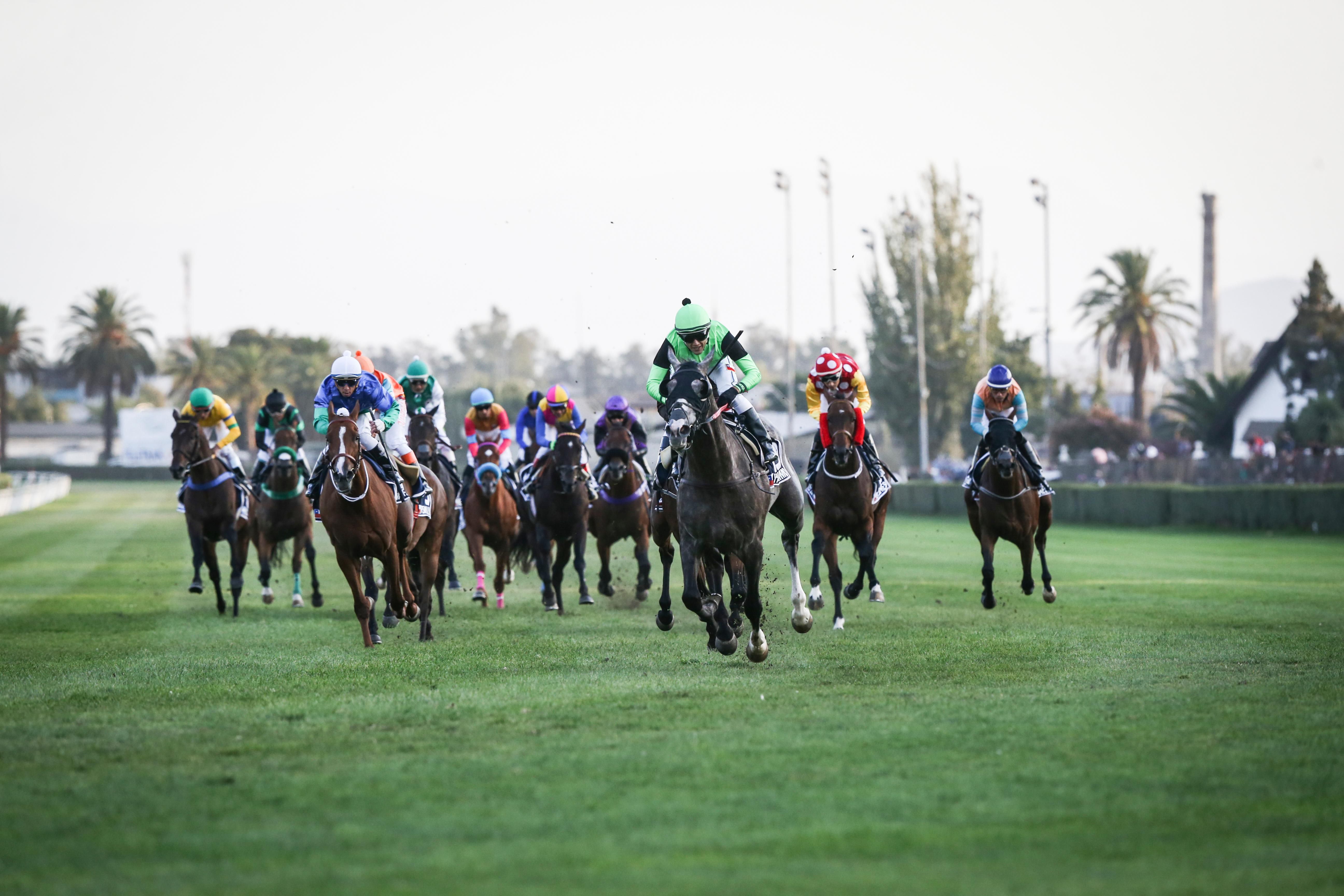 Carreras Hípica Hipódromo