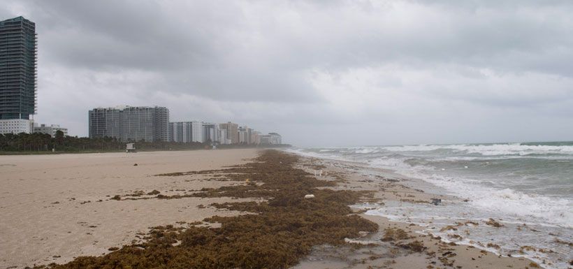 florida huracán.