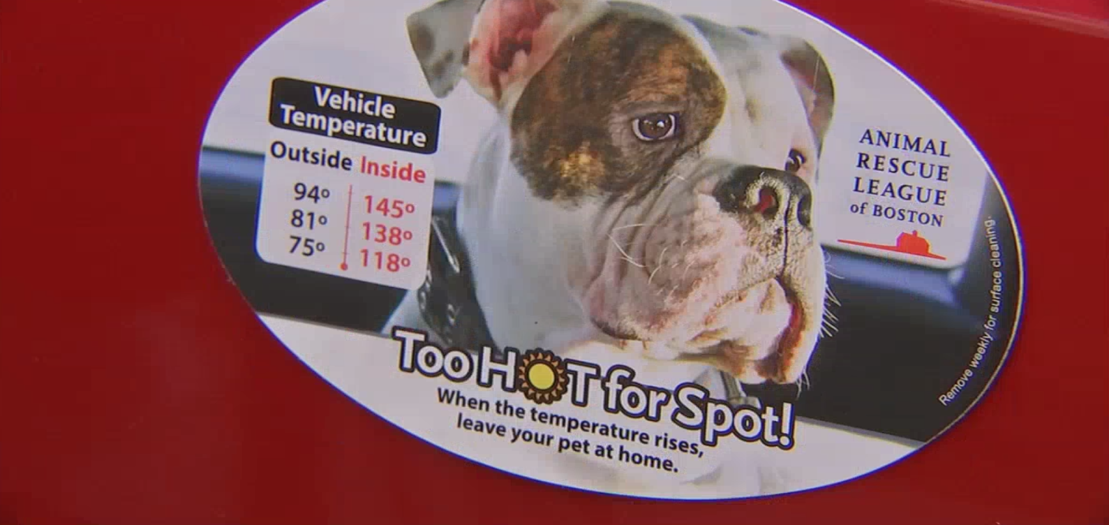 Too Hot for Spot': Animal Rescue League warns pet owners about the dangers  of hot cars – Boston 25 News