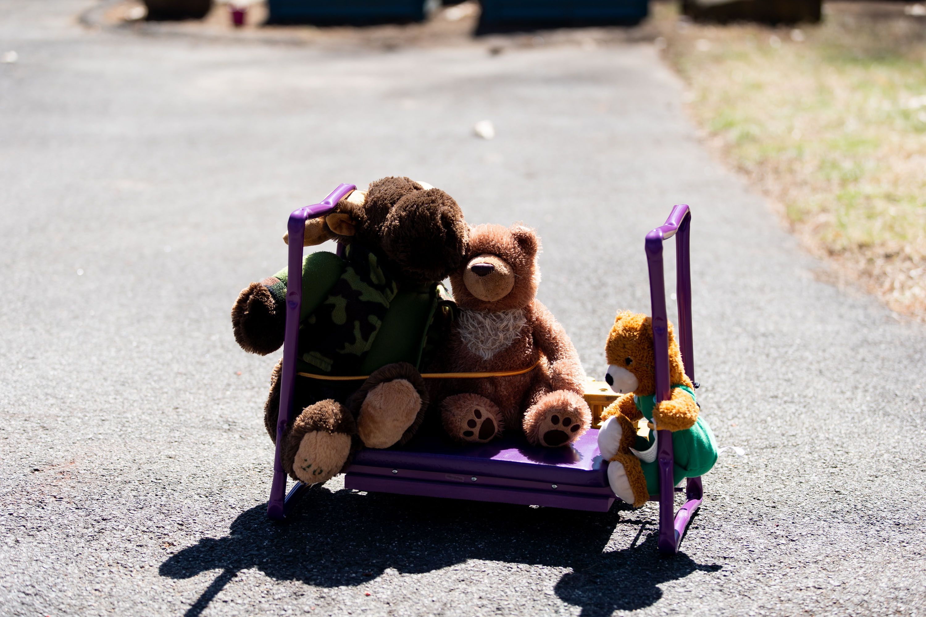 Waiting to greet the children of the neighborhood. 💕 Is anyone else  participating in the great bear hunt? #bearhunt #COVID19