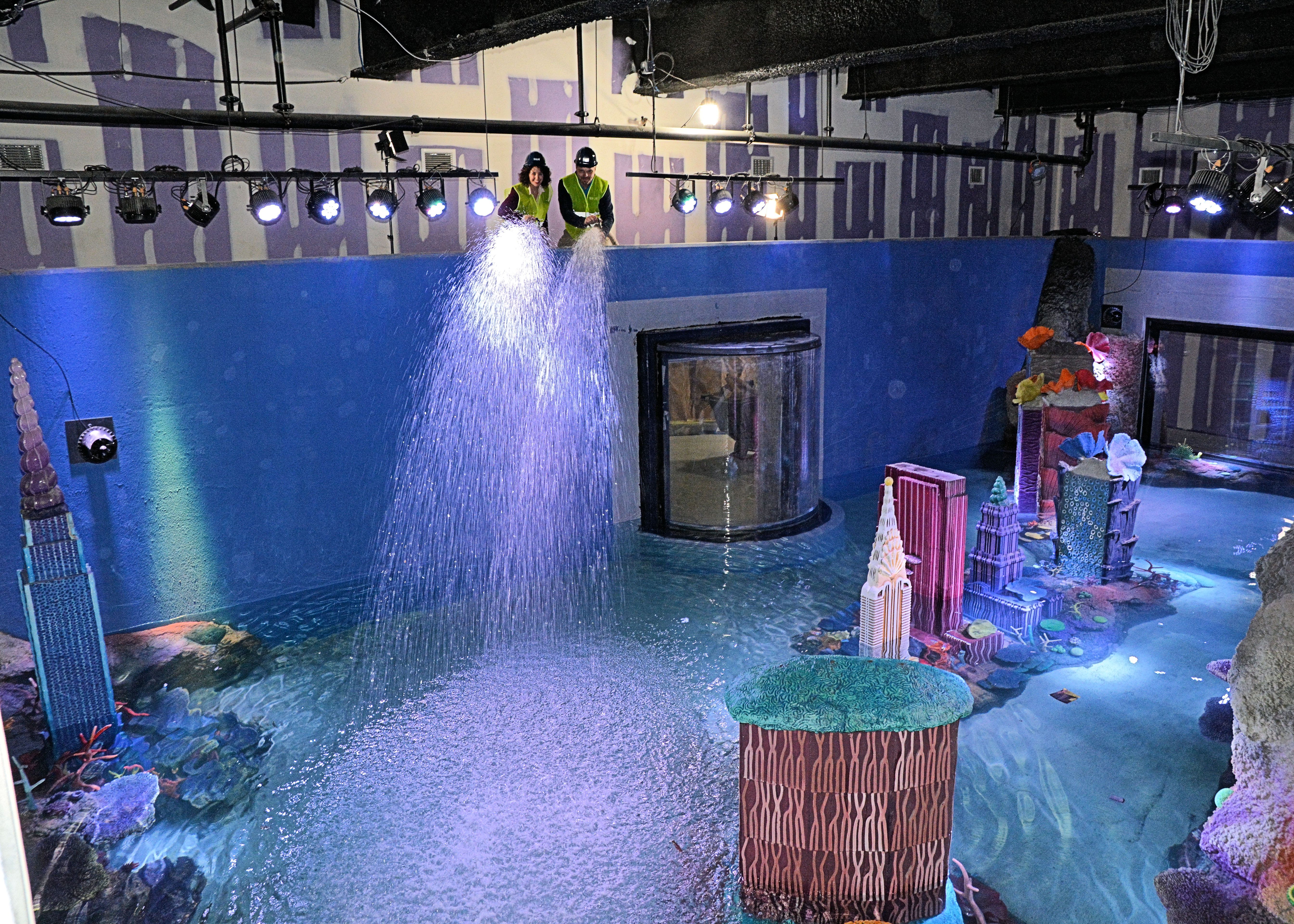 build your dream aquarium