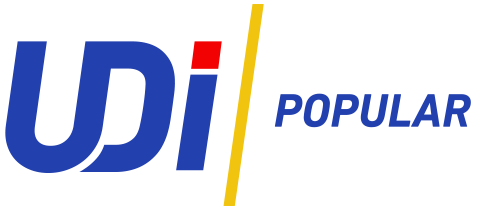 Logo-UDI.png