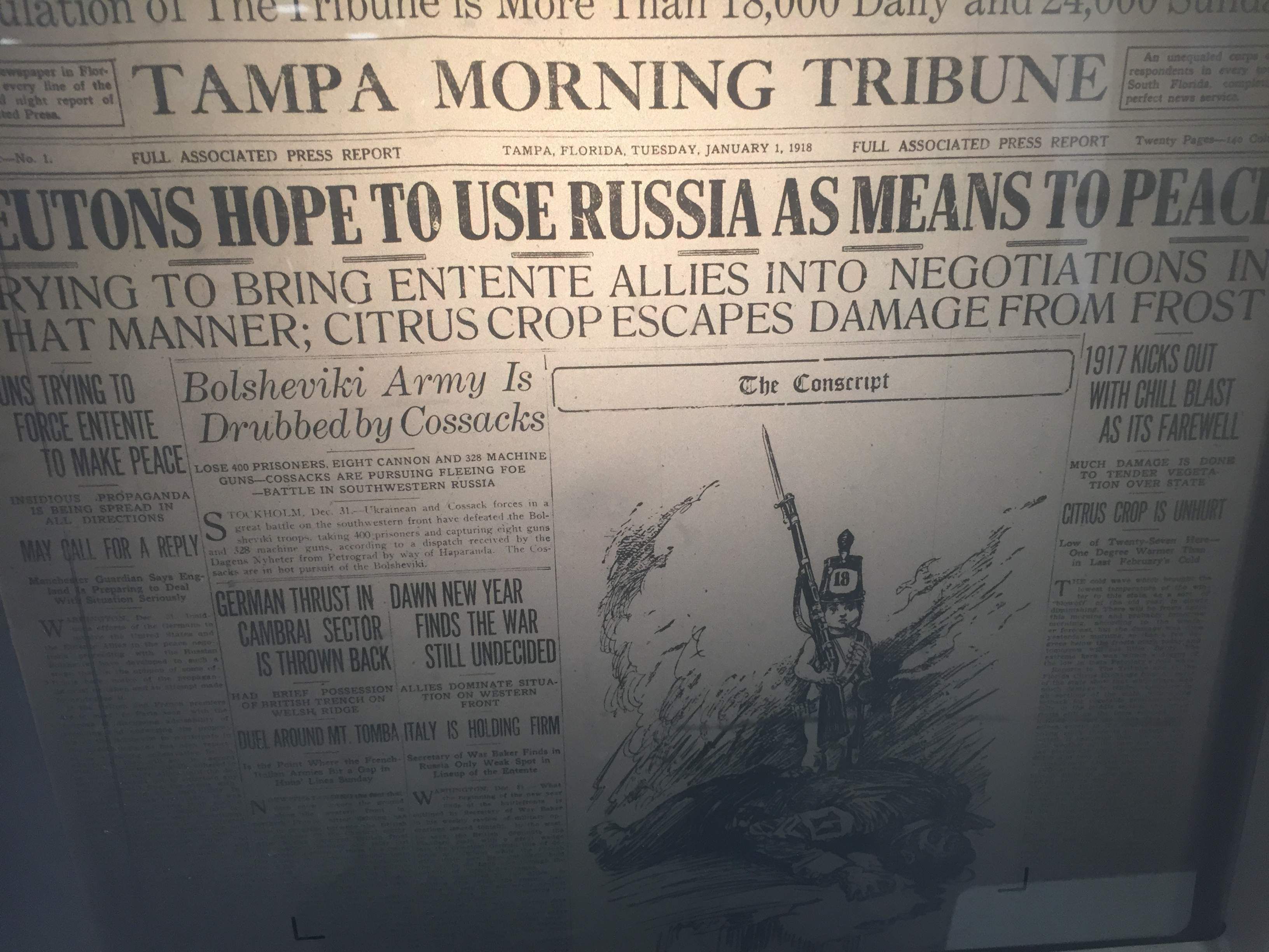 The Tampa Tribune from Tampa, Florida 