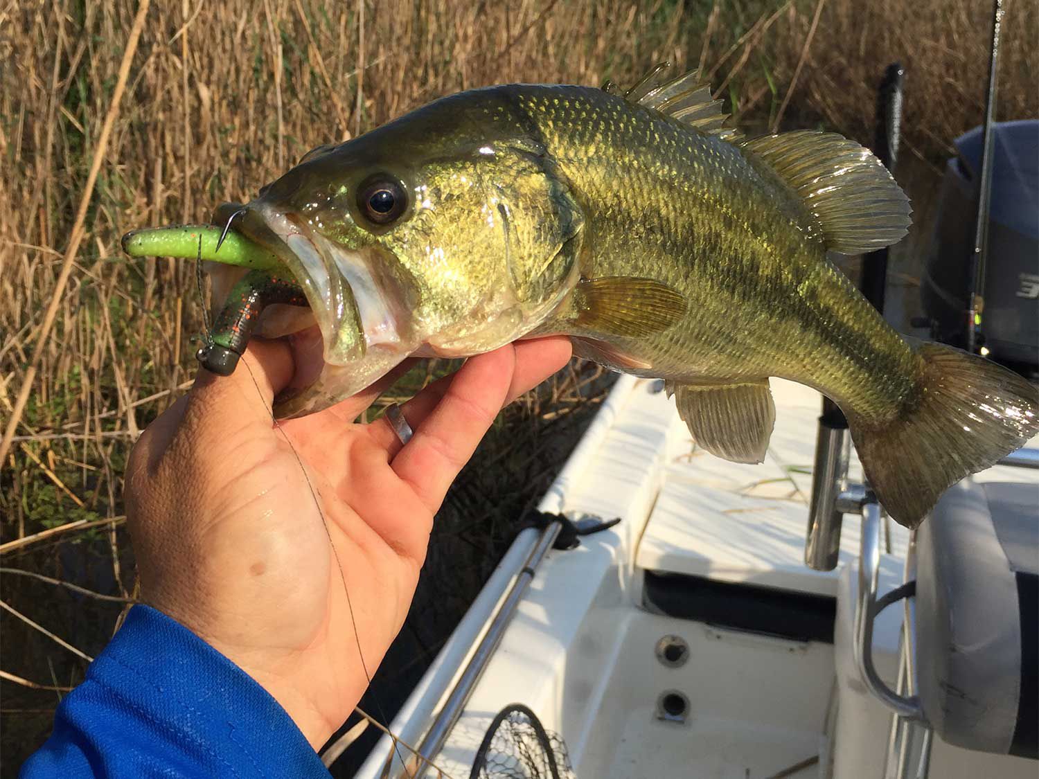 11 Bass Fishing Myths That Are Keeping You From Landing A