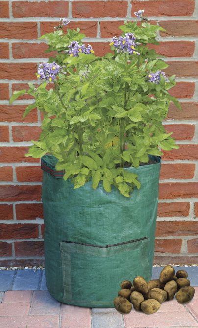 Grow Bags, Planters & Pottery > Bosmere Potato Grow Bag - The