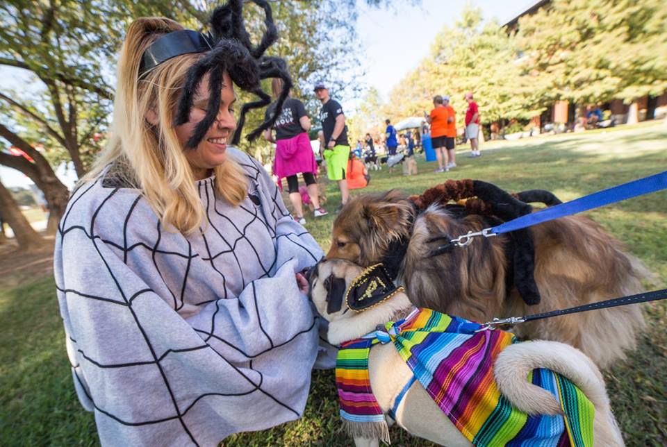 Take your doggy trick or treating at the Bark Bash at the Heritage