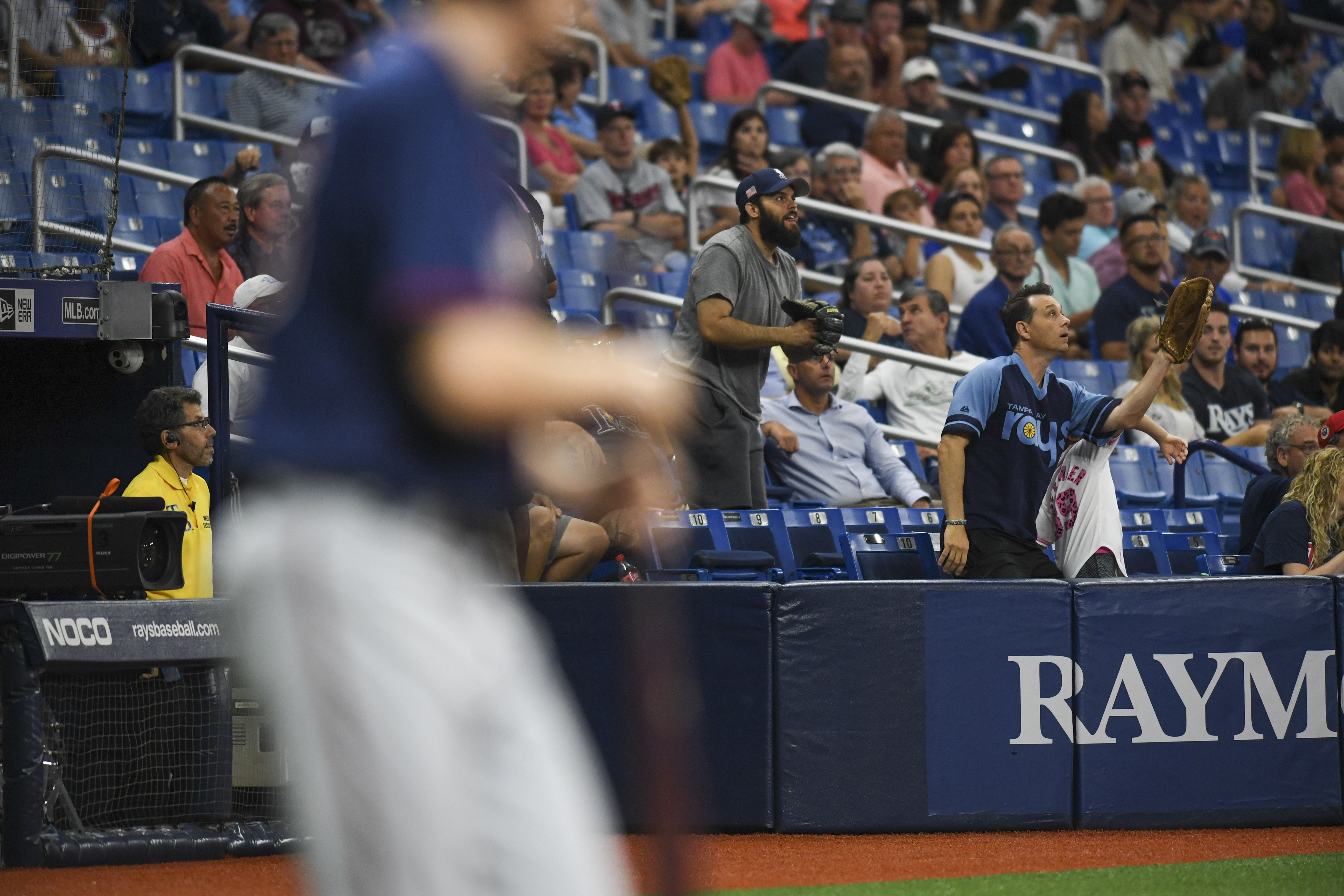 Rays to extend protective netting