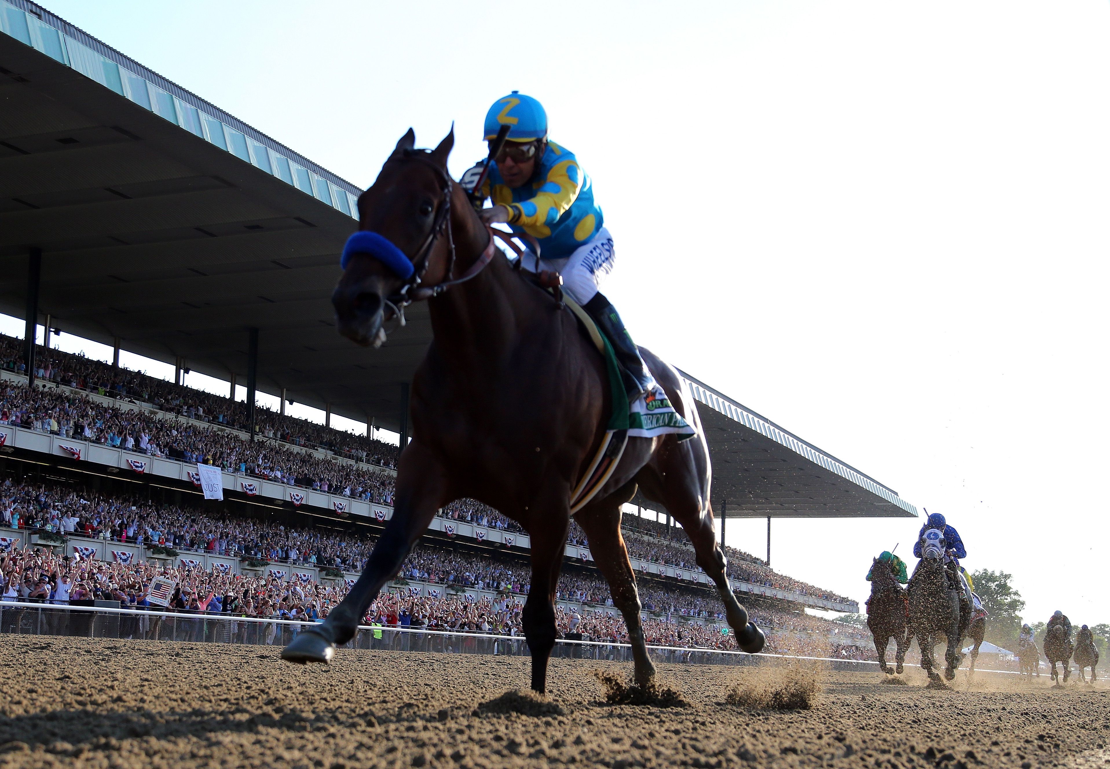 American Pharoah wins Belmont Stakes to become horse racing's first Triple  Crown winner since Affirmed in 1978 – New York Daily News