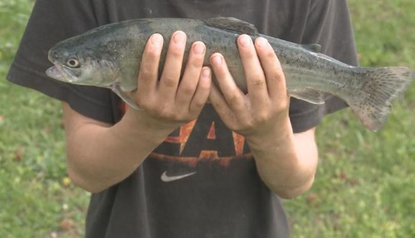 Parkersburg Fishing Derby to be held Saturday at City Park and Southwood  Park